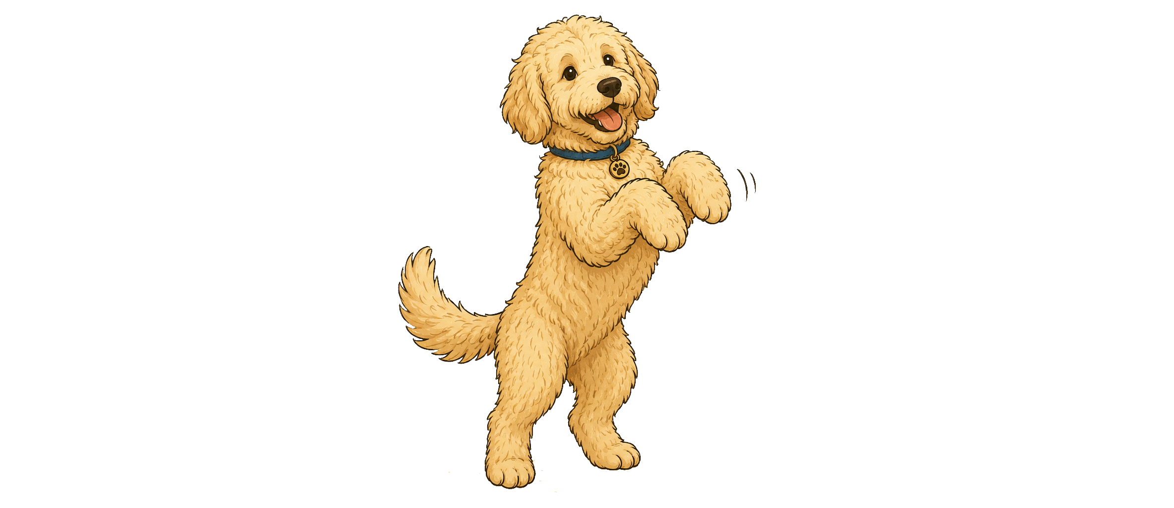 5 Leuke trucjes om je hond te leren