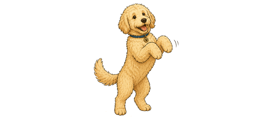 De eerste 30 dagen met een nieuwe hond: wat kun je verwachten?