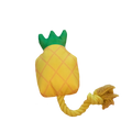 Drijvende ananas met touw