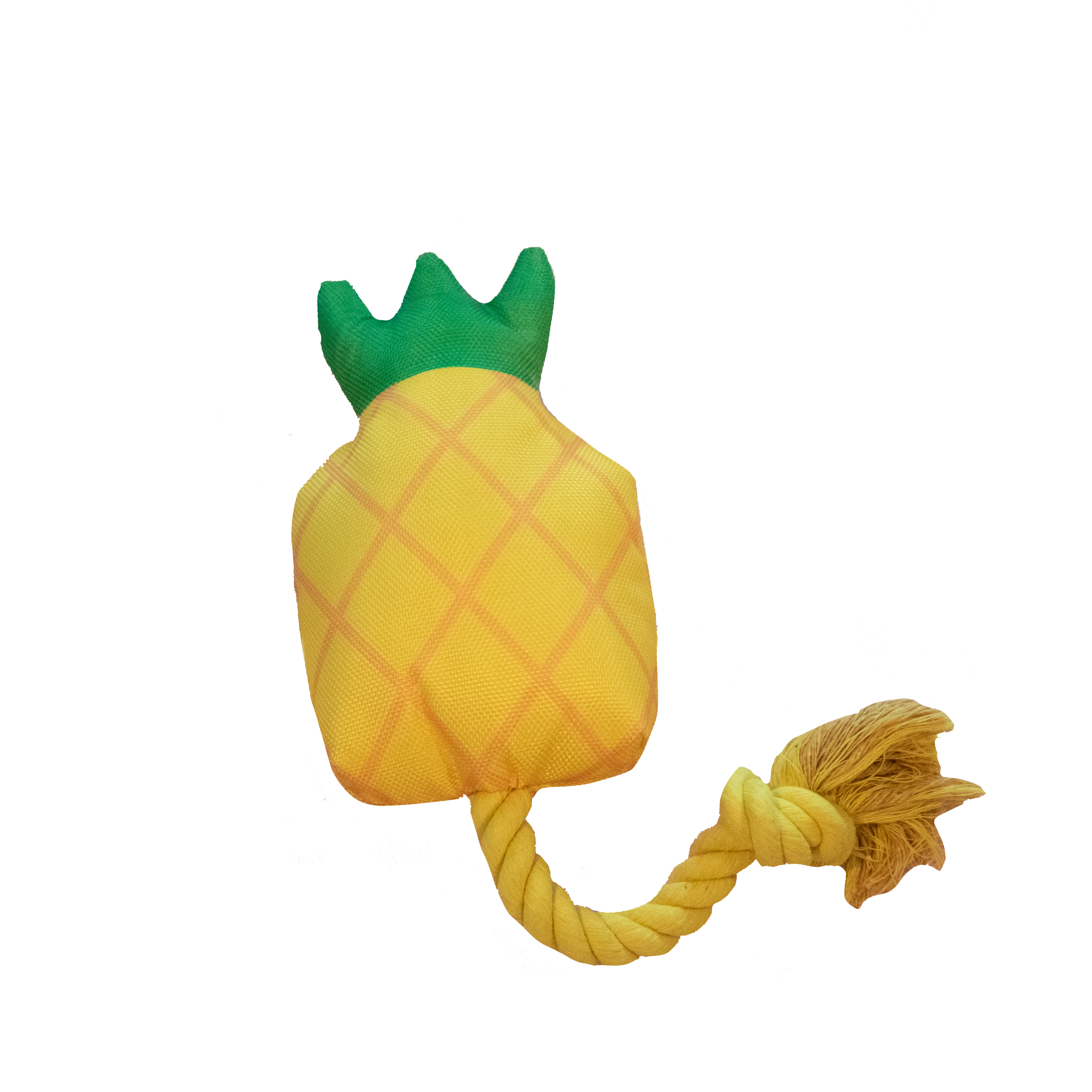 Drijvende ananas met touw