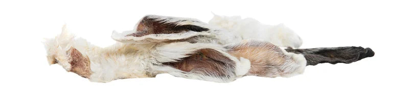 Oreilles de lapin avec des cheveux