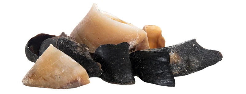 Calf hooves with sheep fat